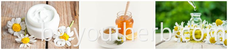 chamomile extract powder